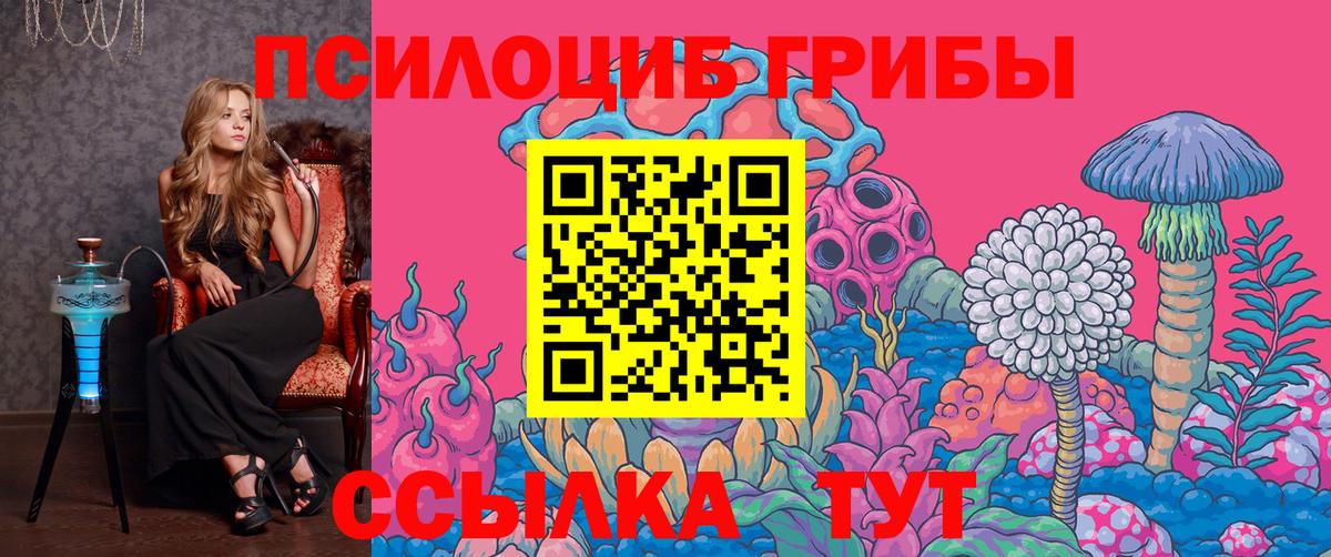 Галлюциногенные грибы Psilocybine cubensis Михайловск