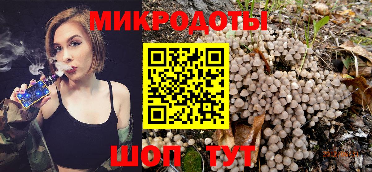 Галлюциногенные грибы прущие грибы  Вход с VPN  Михайловск  Галлюциногенные грибы Psilocybe 